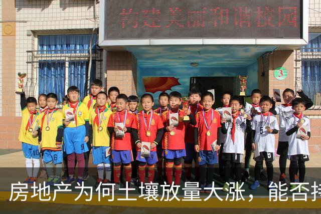 房地产为何土壤放量大涨，能否持续？